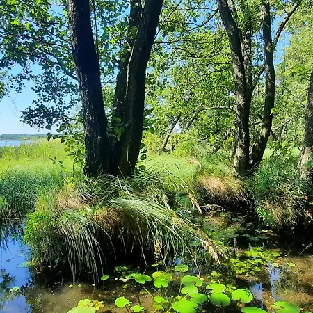 Letniskowy Letowo *