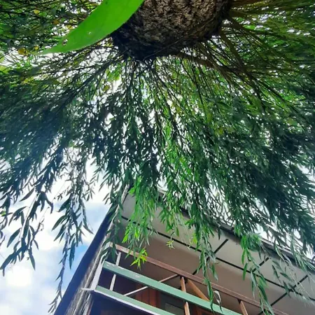 Letniskowy Letowo * Letowo (West Pomeranian)